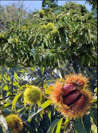 알 수 없음님의 작성글 사진