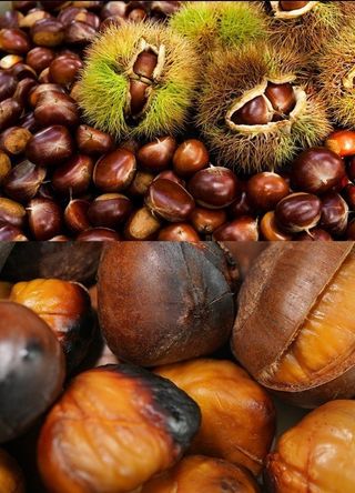 알 수 없음님의 작성글 사진