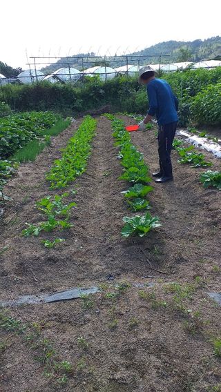 송석봉님의 자유주제 · 자유게시판 작성글 사진