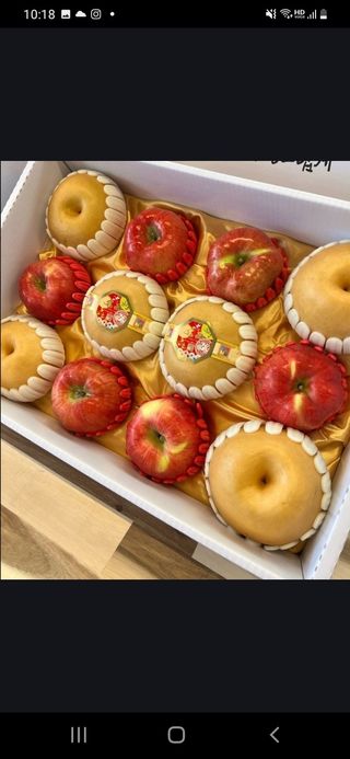 알 수 없음님의 작성글 사진