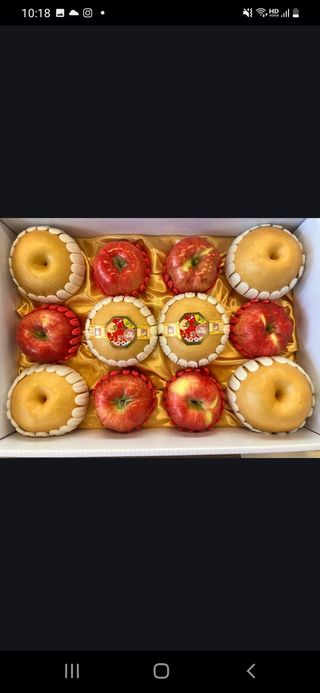 알 수 없음님의 작성글 사진