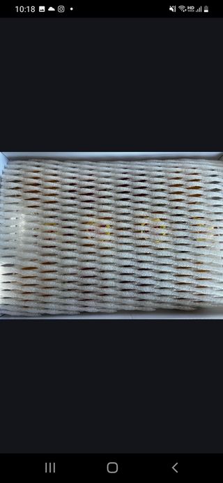 알 수 없음님의 작성글 사진