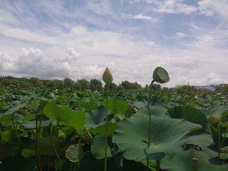 바위돌님의 윷놀이 끝! 어떠셨나요? · 참여글 작성글 사진