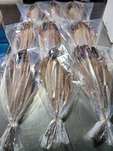 팜모닝 장터이야기·자유게시판 게시글 이미지