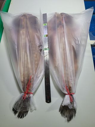 목포제주수산님의 장터이야기 · 자유게시판 작성글 사진