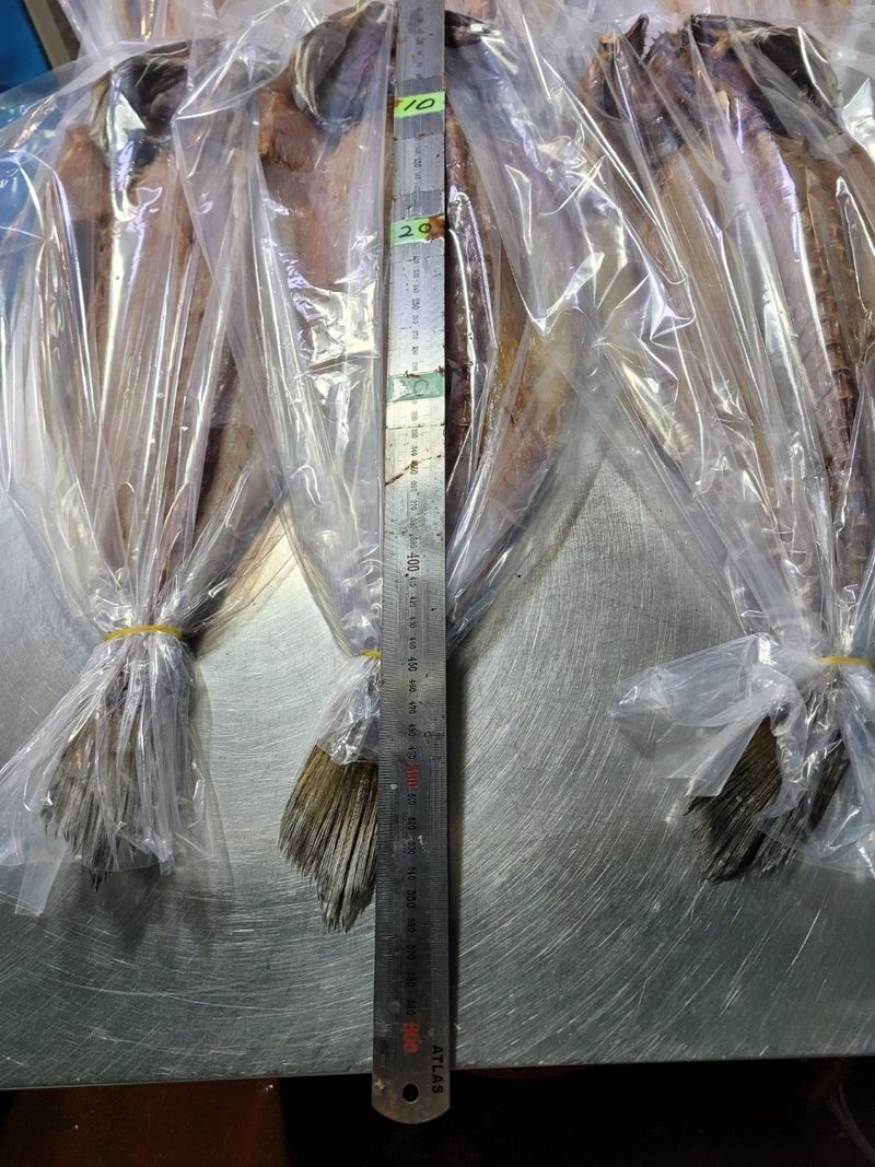 목포제주수산님의 장터 판매 상품 [반건조 민어] 첨부 사진