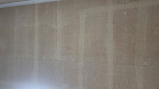 경안호님의 윷놀이 끝! 어떠셨나요? · 참여글 작성글 사진