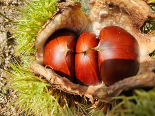 김용석님의 윷놀이 끝! 어떠셨나요? · 참여글 작성글 사진
