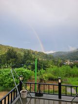 팜모닝 윷놀이 끝! 어떠셨나요?·참여글 게시글 이미지