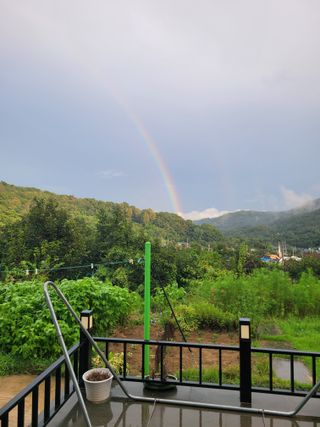 서영진님의 윷놀이 끝! 어떠셨나요? · 참여글 작성글 사진