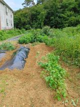 팜모닝 상추·자유게시판 게시글 이미지