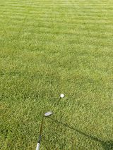 팜모닝 윷놀이 끝! 어떠셨나요?·참여글 게시글 이미지