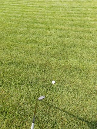 이재왕님의 윷놀이 끝! 어떠셨나요? · 참여글 작성글 사진