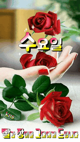 팜모닝 윷놀이 끝! 어떠셨나요?·참여글 게시글 이미지