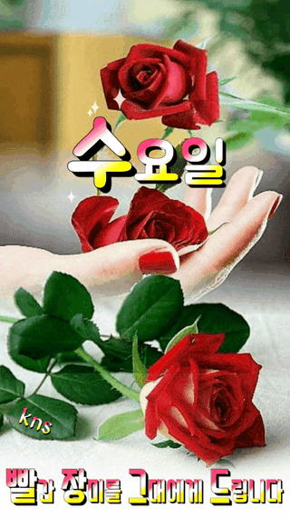 풍운님의 윷놀이 끝! 어떠셨나요? · 참여글 작성글 사진