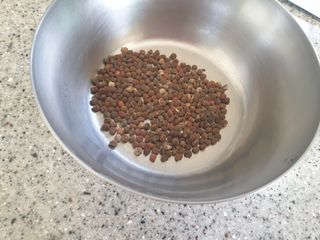 알 수 없음님의 기타작물 · 자유게시판 작성글 사진