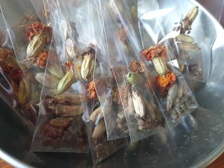 알 수 없음님의 기타작물 · 자유게시판 작성글 사진