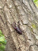 팜모닝 윷놀이 끝! 어떠셨나요?·참여글 게시글 이미지