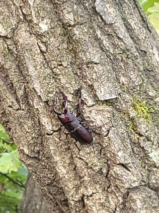 이종덕님의 윷놀이 끝! 어떠셨나요? · 참여글 작성글 사진