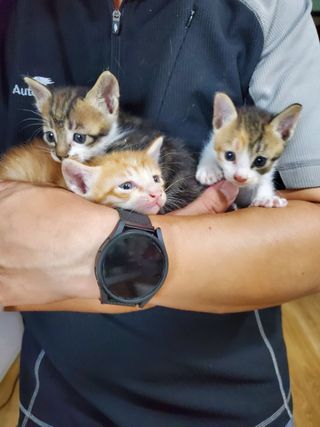 휘성님의 윷놀이 끝! 어떠셨나요? · 참여글 작성글 사진