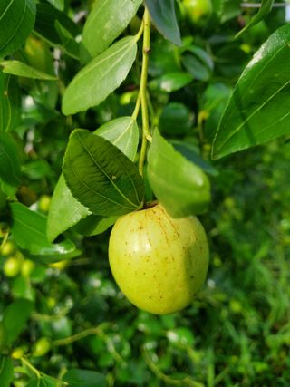 휘성님의 윷놀이 끝! 어떠셨나요? · 참여글 작성글 사진