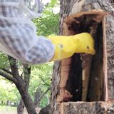 팜모닝 귤·일상 게시글 이미지