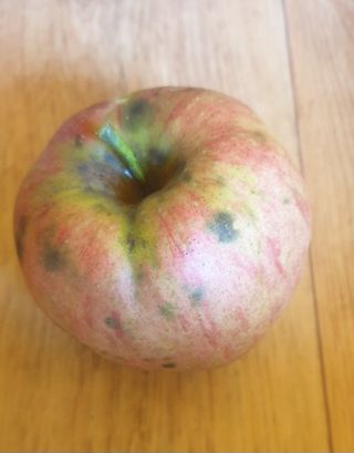 호랑이와인성이님의 작성글 사진