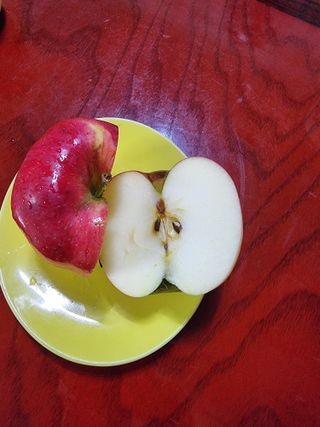 호랑이와인성이님의 작성글 사진