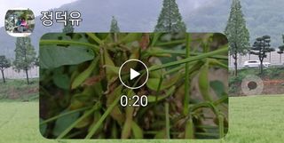 이춘식님의 콩 · 병해충상담 작성글 사진