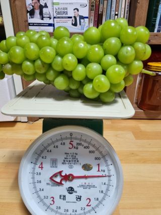 민원기님의 윷놀이 끝! 어떠셨나요? · 참여글 작성글 사진