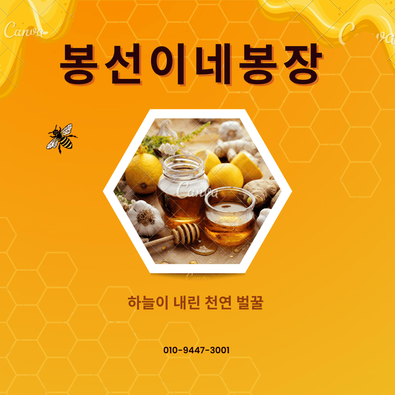 봉선이네봉장 님의 장터 판매 상품 [천연 아카시꿀, 숙성 잡화꿀, 자연산 밤꿀, 꿀벌 화분] 첨부 사진