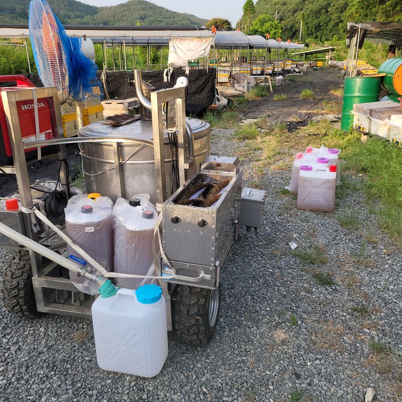 봉선이네봉장 님의 장터 판매 상품 [천연 아카시꿀, 숙성 잡화꿀, 자연산 밤꿀, 꿀벌 화분] 첨부 사진