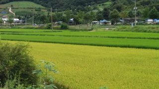 마쿠스님의 사과 · 일상 작성글 사진