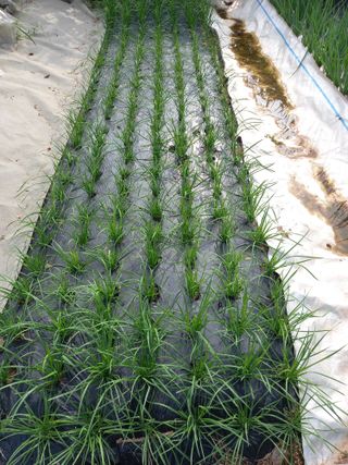 땅땅님의 기타작물 · 자유게시판 작성글 사진