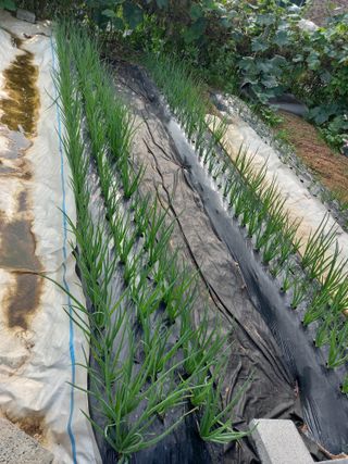 땅땅님의 기타작물 · 자유게시판 작성글 사진