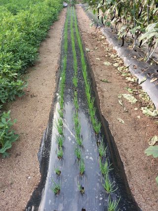 땅땅님의 기타작물 · 자유게시판 작성글 사진