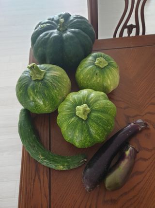 경기도님의 윷놀이 끝! 어떠셨나요? · 참여글 작성글 사진