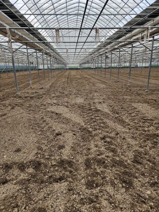 김지연님의 토마토 · 토양준비 작성글 사진