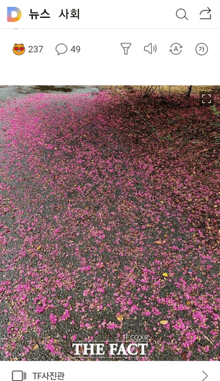 유용호님의 파 · 자유게시판 작성글 사진