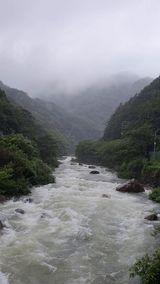 팜모닝 마늘·일상 게시글 이미지