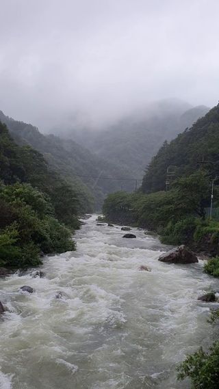 산삼님의 마늘 · 일상 작성글 사진