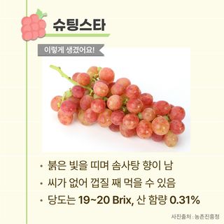 팜모닝님의 포도 · 자유게시판 작성글 사진