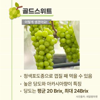 팜모닝님의 포도 · 자유게시판 작성글 사진