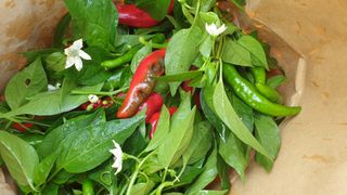 농부아내님의 작성글 사진