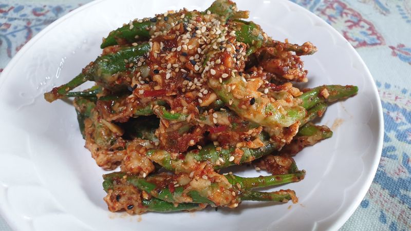 농부아내님의 장터 판매 상품 [풋고추 3kg] 첨부 사진