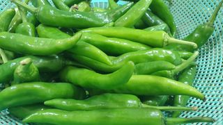 농부아내님의 작성글 사진