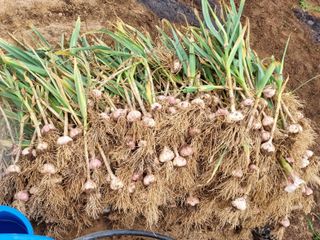 라니82님의 배 · 일상 작성글 사진