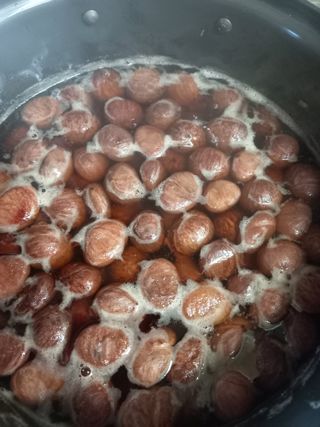 강지현님의 기타작물 · 자유게시판 작성글 사진