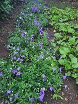 팜모닝 자유주제·자유게시판 게시글 이미지