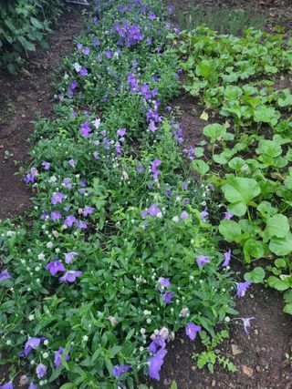 김유숙님의 자유주제 · 자유게시판 작성글 사진